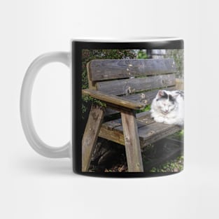 Cute Cuddly Cat Catnapping in Clovelly Mug